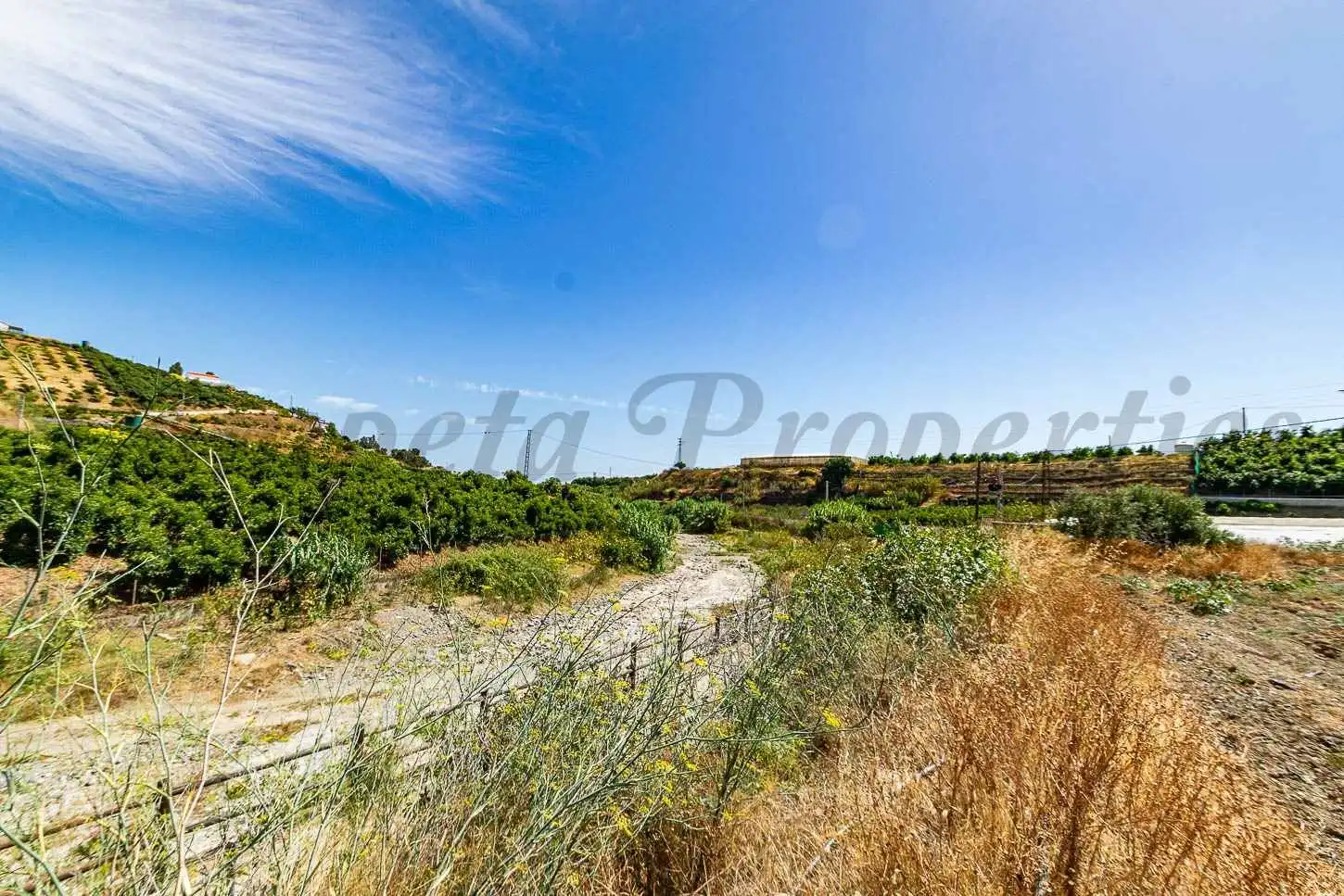 Terreny rústic en venda a Algarrobo pueblo, imagen 6