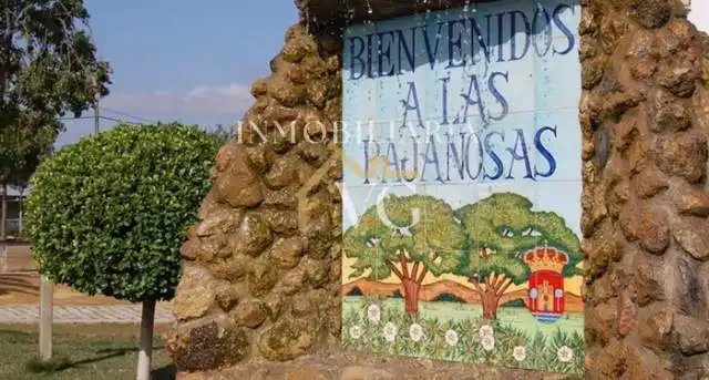 Terreny rústic en venda a Las Pajanosas, imagen 4