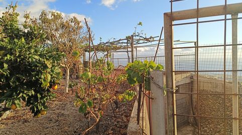 Foto 5 de Finca rústica en venta en Guía de Isora interior, Guía de Isora