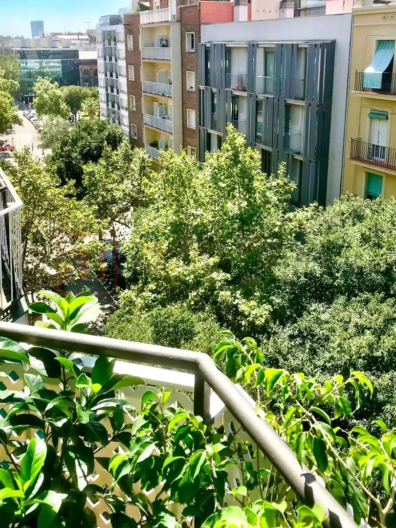 Piso con terraza en venta en Calle de Nàpols, imagen 2
