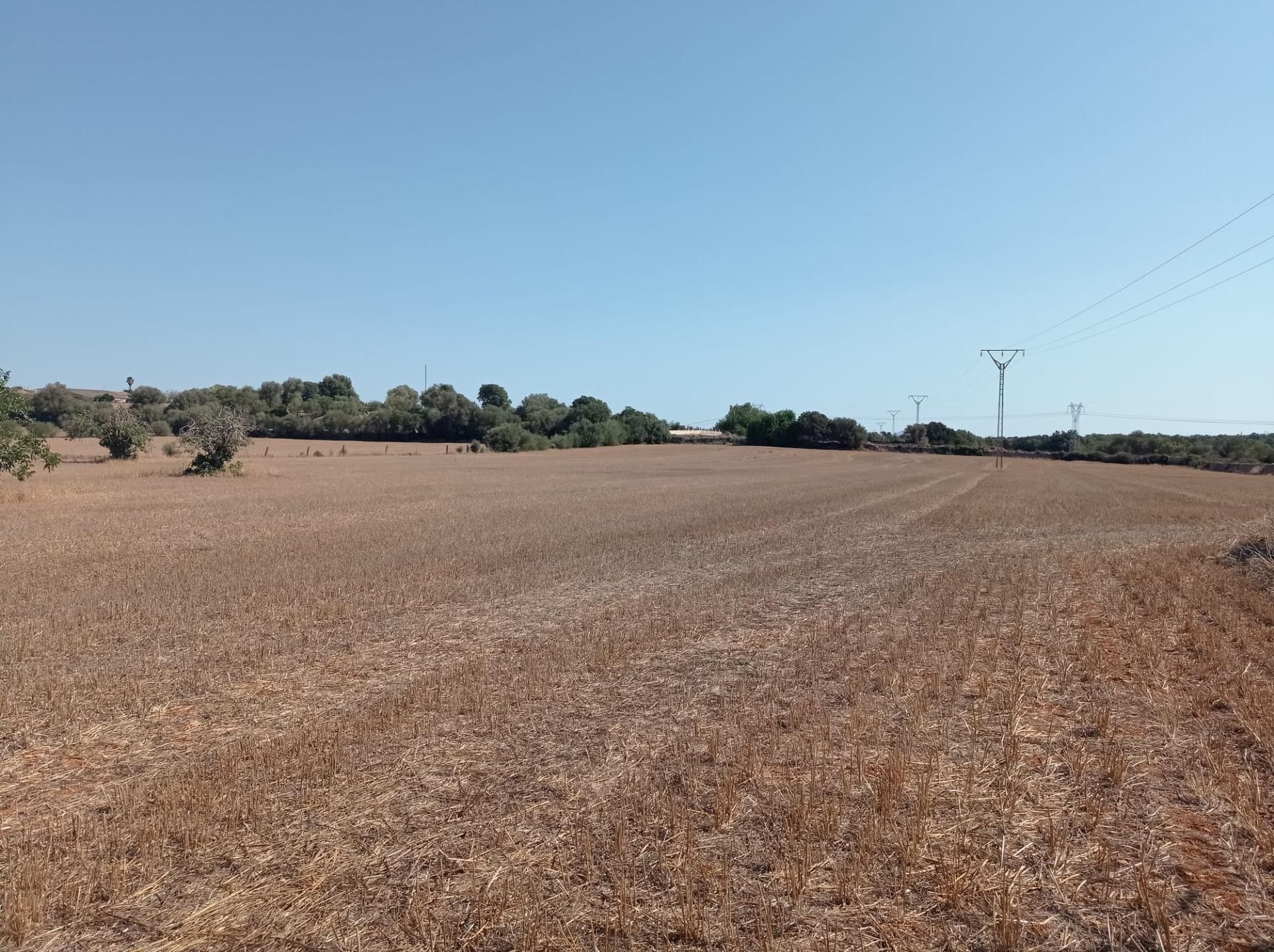 Residencial en venda en Llubí