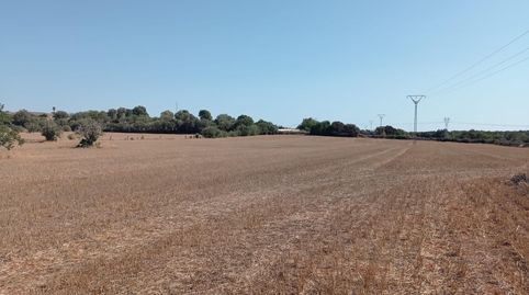 FINCA RÚSTICA CON LICENCIA EN TRÁMITE, immagine 3