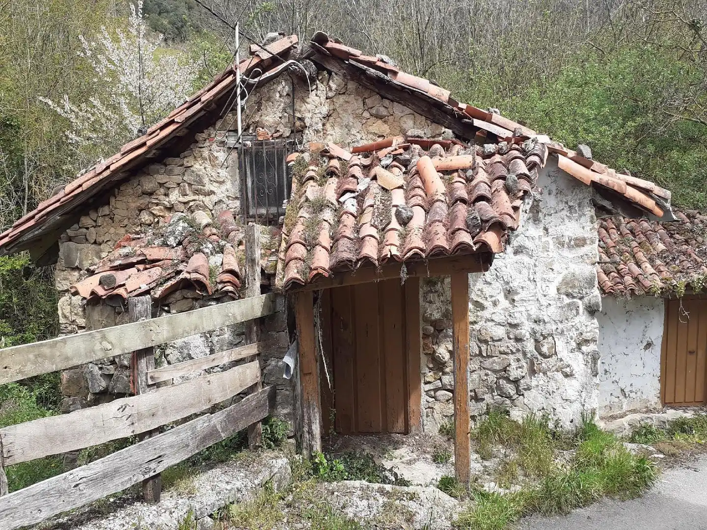 Exterior view of Houses for sale in Camaleño