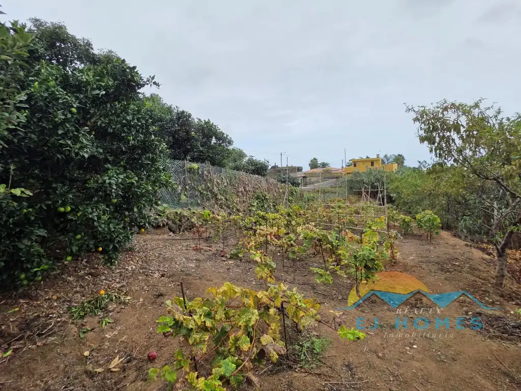 Houses for sale in La Orotava