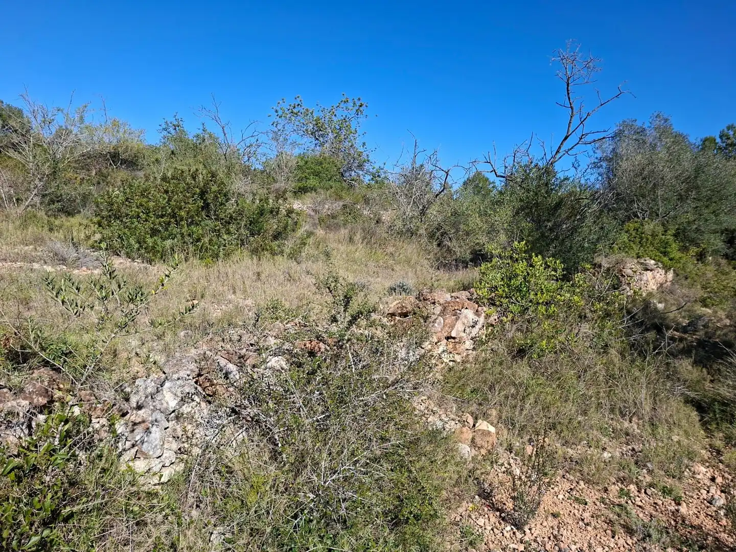 Terreny rústic en venda a Ulldecona, imagen 15
