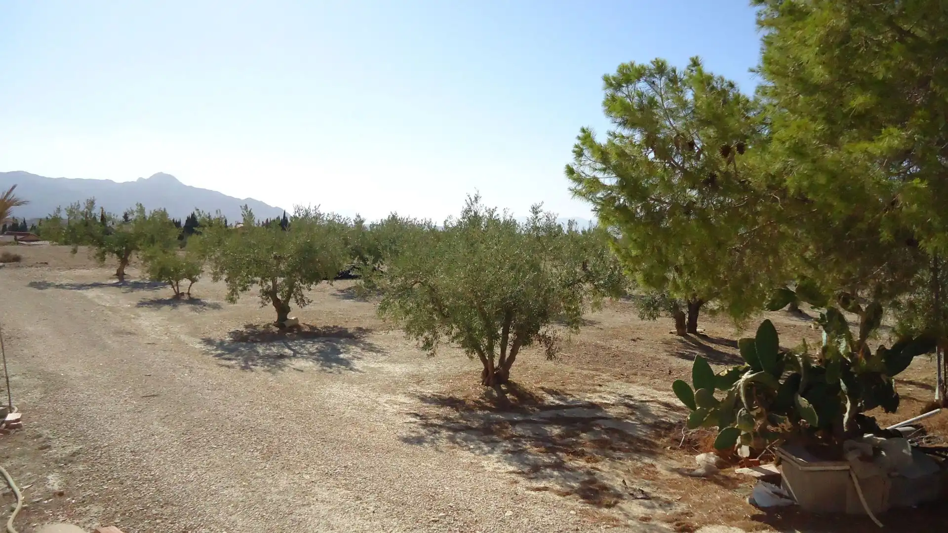 Lands and plots for sale in Abanilla, imagen 17