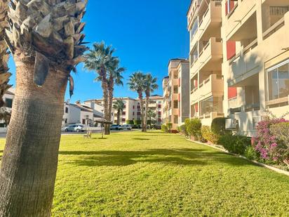 Vista exterior de Apartament en venda en Orihuela amb Aire condicionat, Calefacció i Piscina