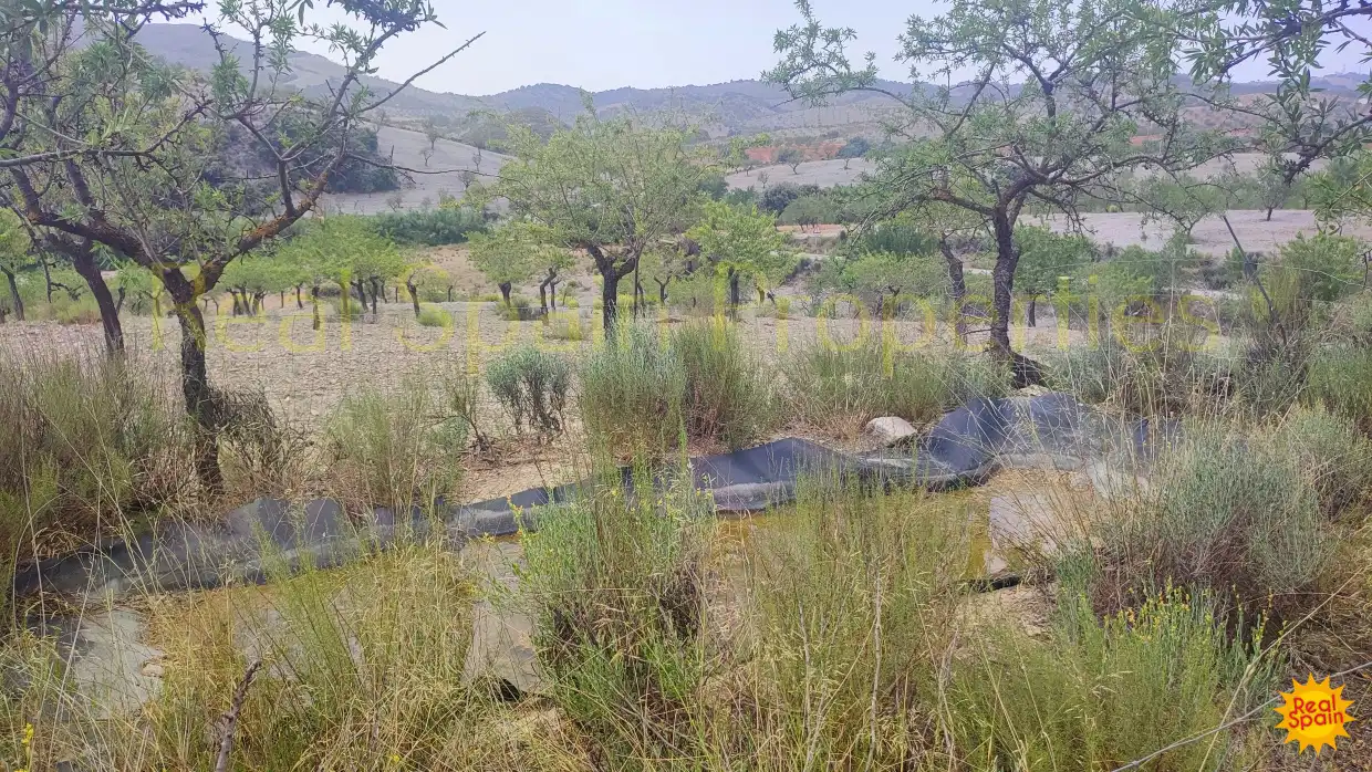 Residential land for sale in Vélez-Rubio, imagen 17