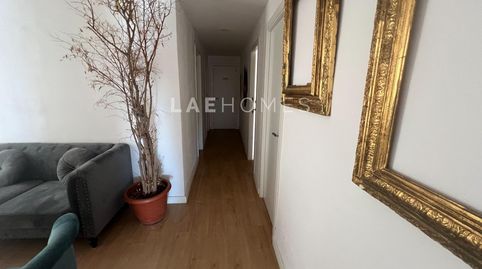 Foto 5 de Oficina de lloguer a Paseo Maritimo Pablo R Picasso, 12, La Malagueta - Monte Sancha, Málaga Capital