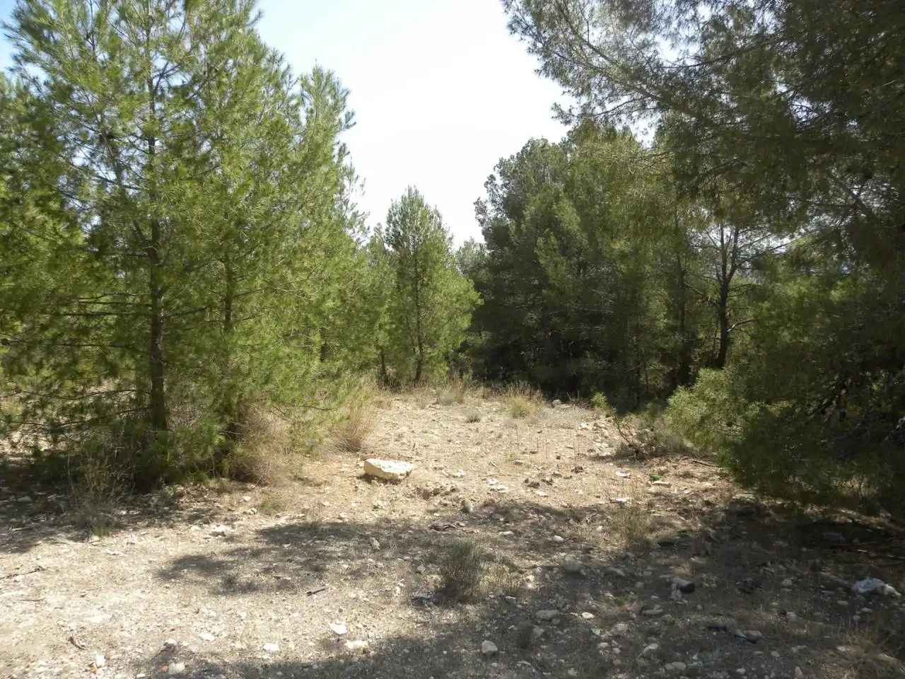 Terreno rustico in vendita a Carretera Llano de Béjar, imagen 8