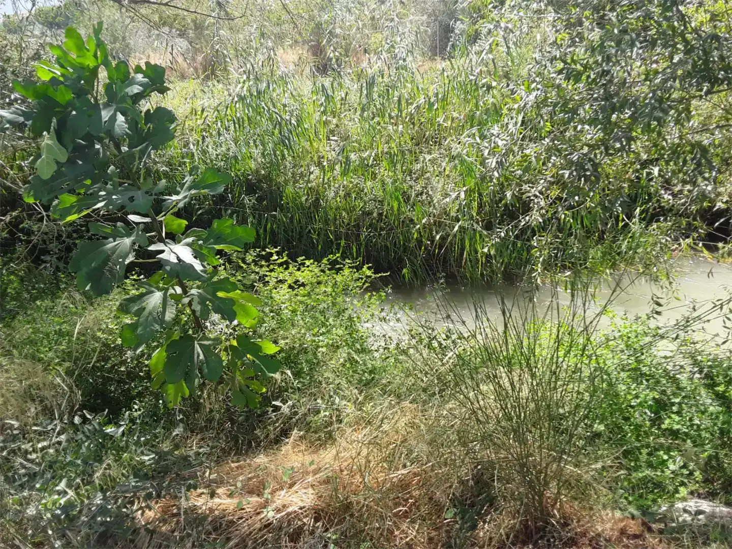 Planta baixa en venda en Cacín amb Aire condicionat i Moblat