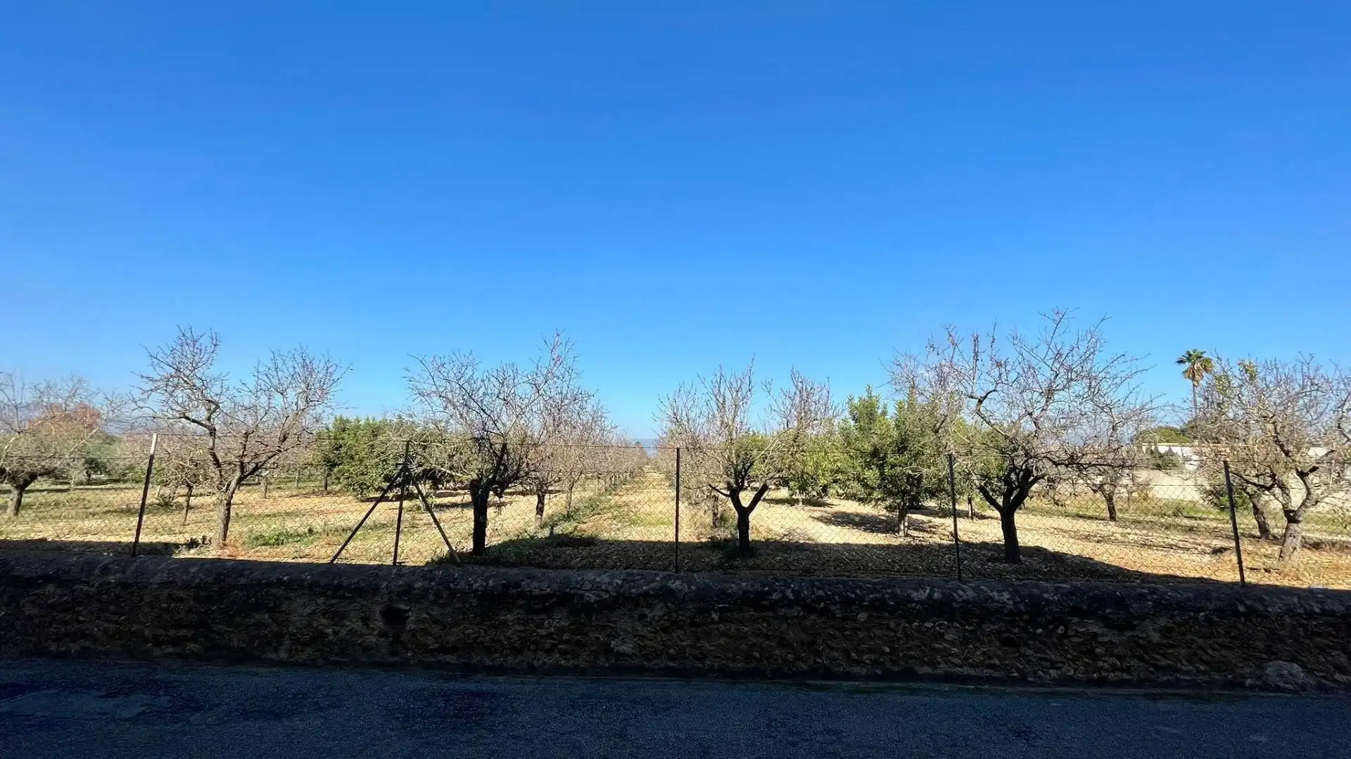 Country homes for sale in Sa Indioteria Rural