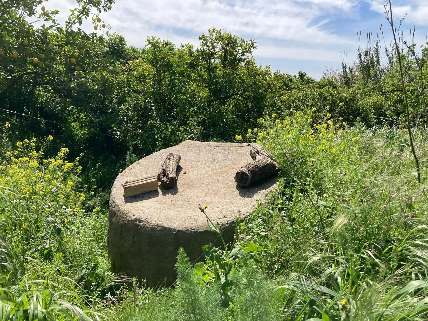 Casa rústica amb jardí en venda a Bobadilla - Bobadilla Estación - La Joya, imagen 8