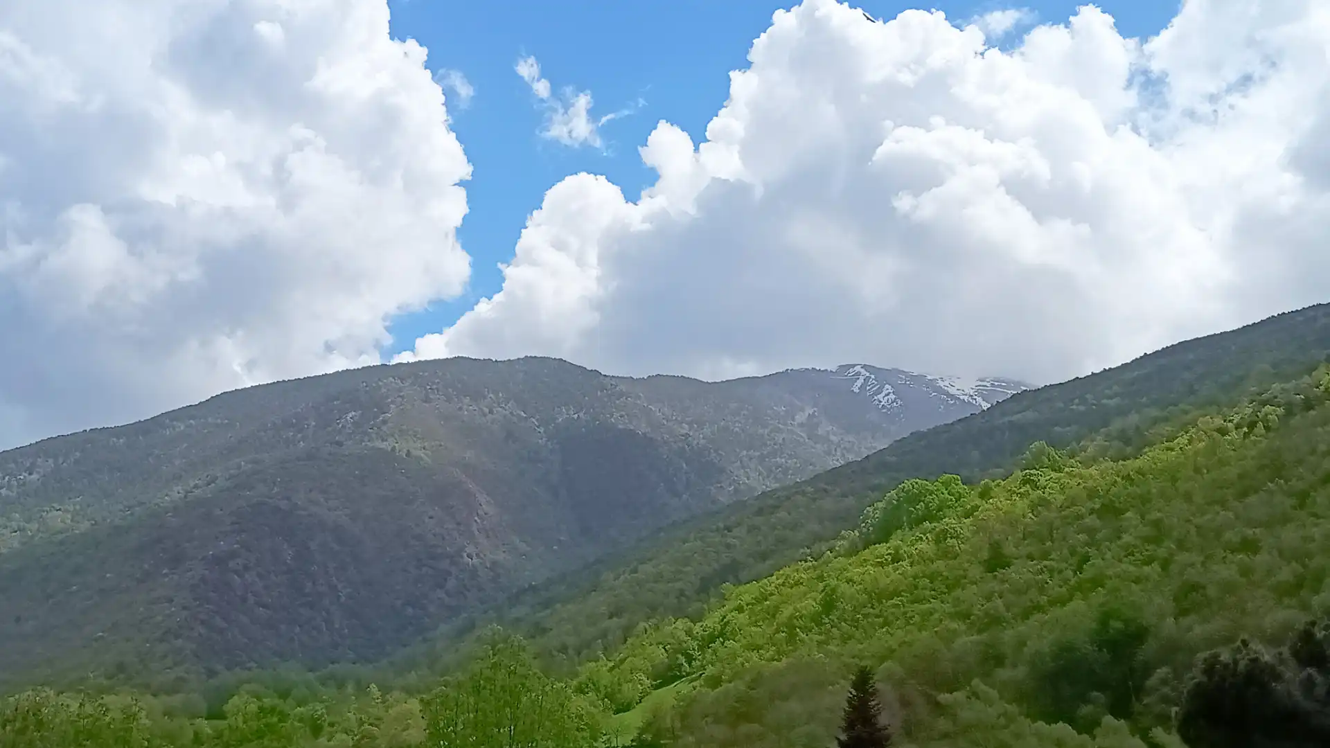 Vista exterior de Finca rústica en venta en Alins con Jardín privado