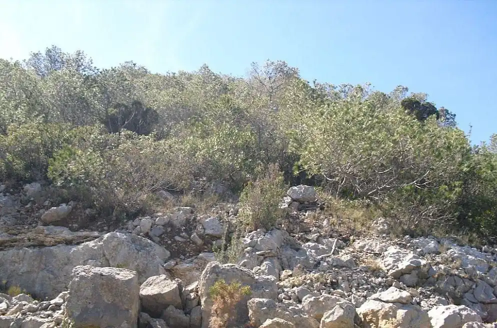 Terreno rústico en venta en Alcossebre, imagen 8