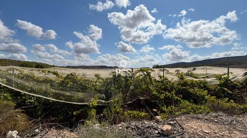 Parral en venta en Totana