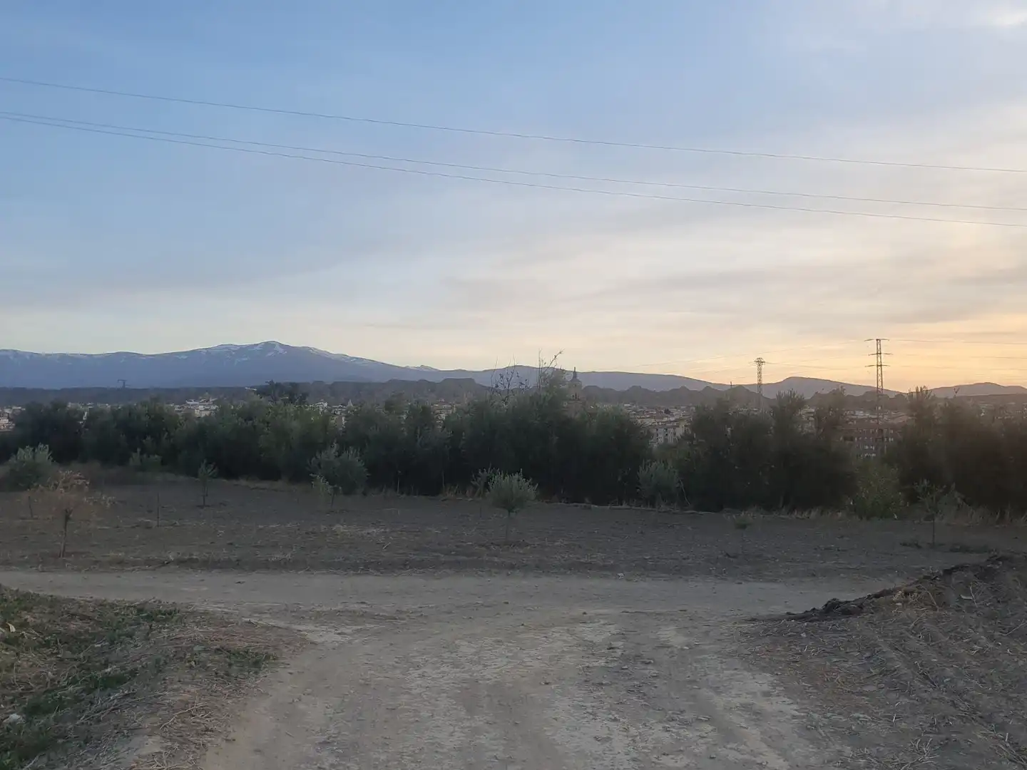 Terreni e lotti in vendita a Guadix
