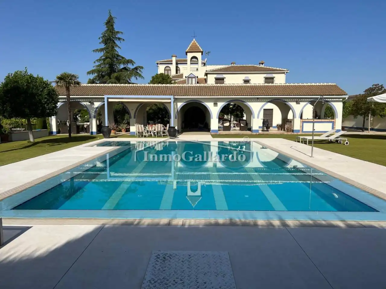 Swimming pool of Buildings for sale in Lucena