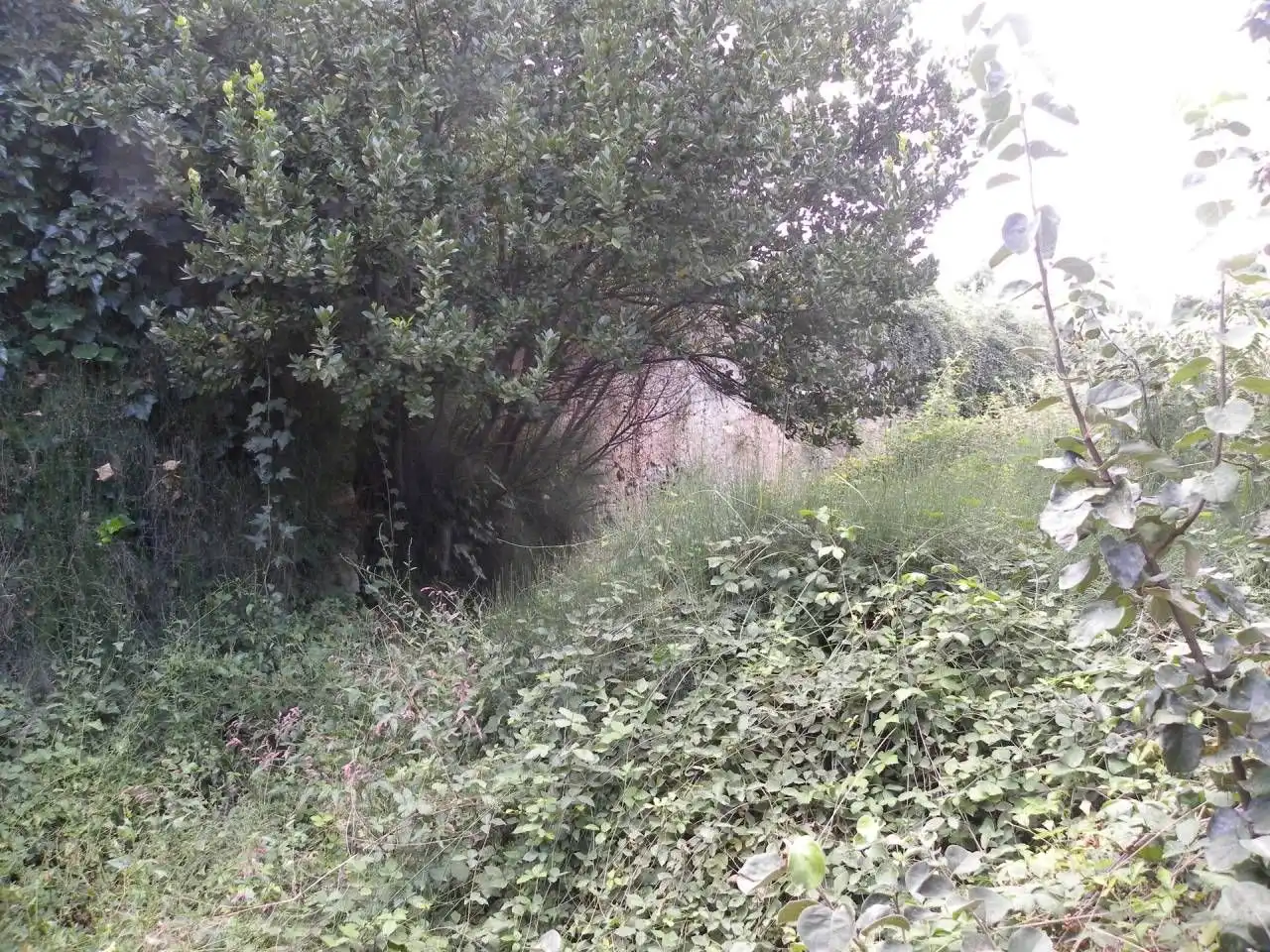 Casa con giardino in vendita a Cehegín, imagen 12