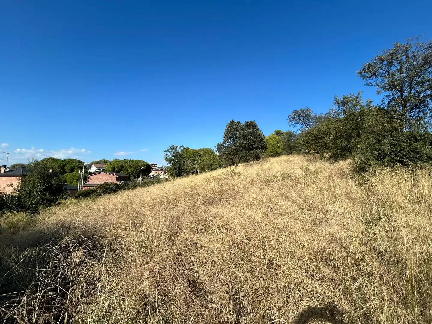 Residential land for sale in Carrer Cedre 22