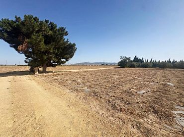Terreno rustico in vendita a Totana