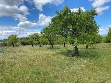 Terreno rustico in vendita a Barbastro