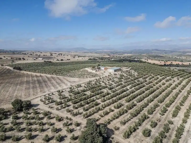 Land for sale in Alamedilla