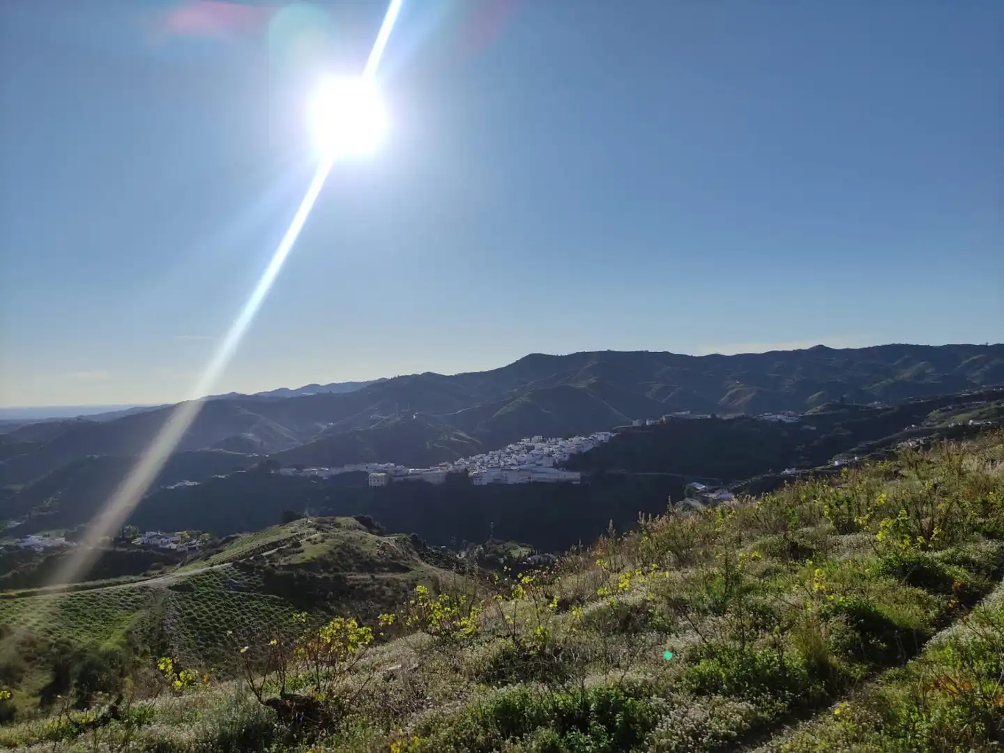 Vista exterior de Finca rústica en venta en Cútar con Jardín privado, Terraza y Piscina