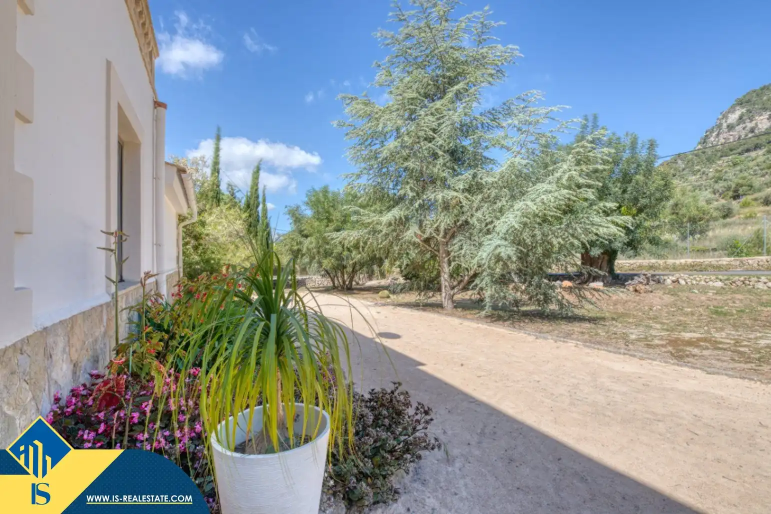 Villa mit Pool zum Verkauf in Centro, imagen 3