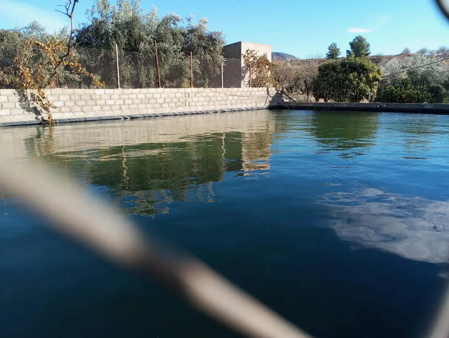 Piscina de Casa o chalet en venta en Purchena con Amueblado