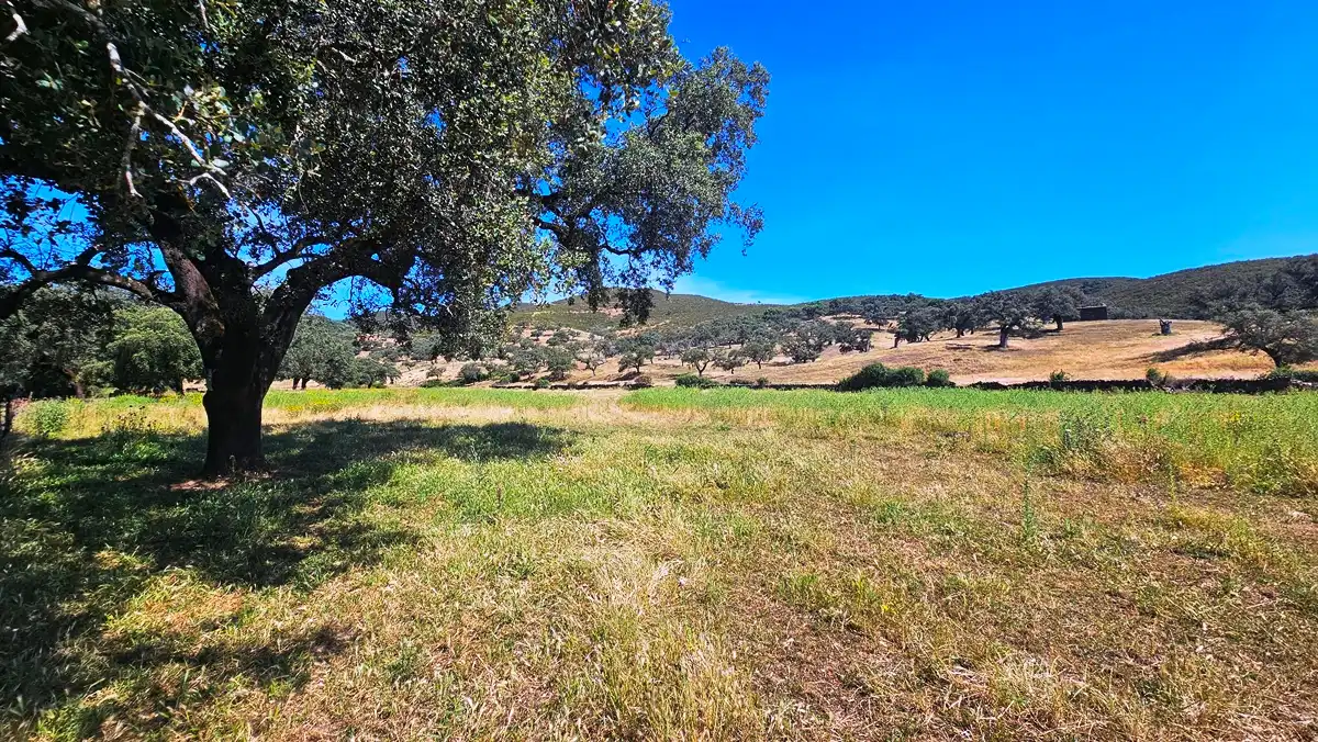 Terrenos y solares en venta en Aracena, imagen 48
