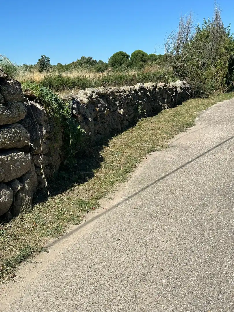 Finca rústica en venta en Peñausende con Jardín privado