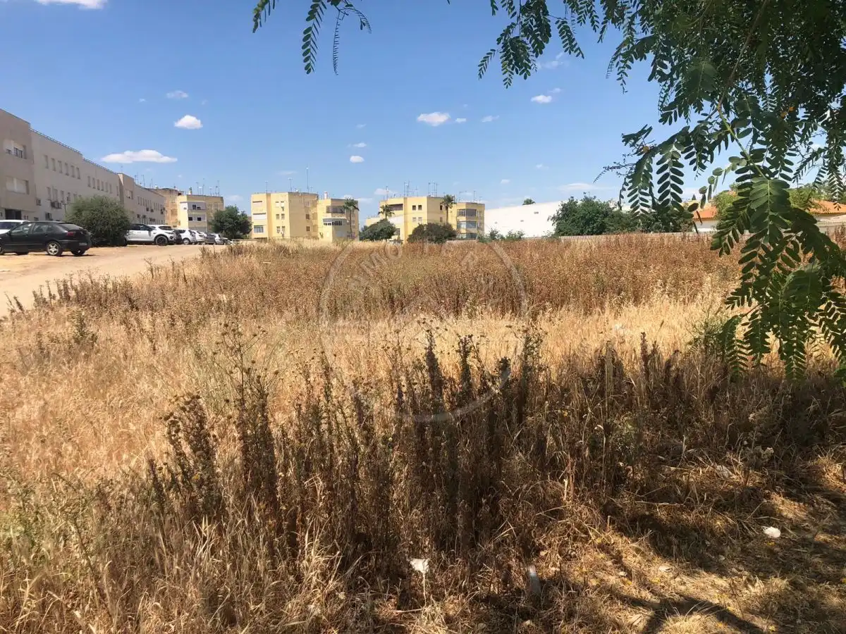 Terreno residenziale in vendita a Marchena, imagen 8