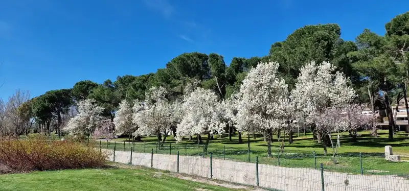 Piso con piscina en venta en Moncloa - Aravaca, imagen 43