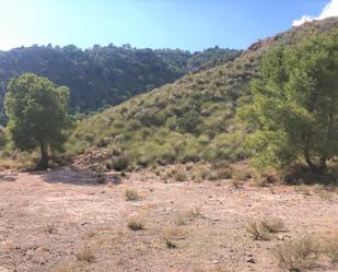 Land for sale in Lorca