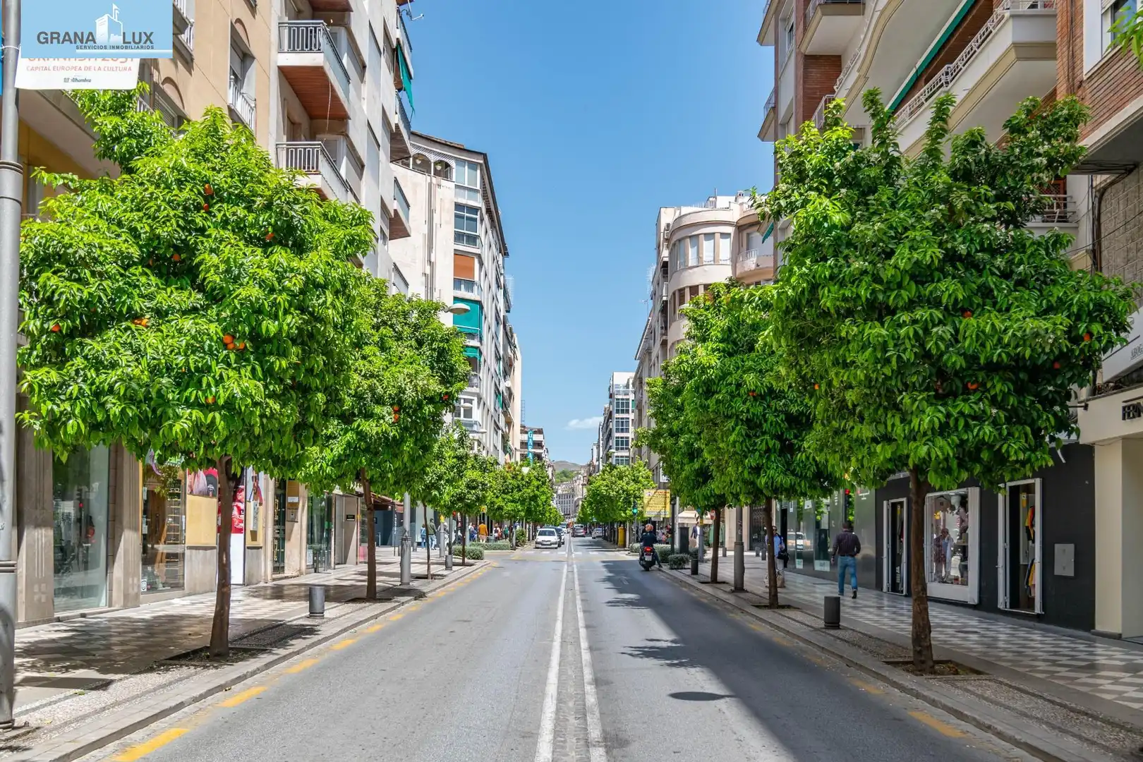 Vista exterior de Piso en venta en Granada con Terraza y Balcón