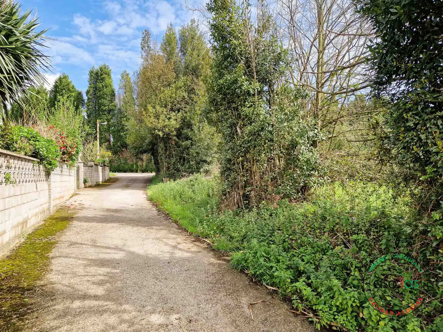 Terreni e lotti in vendita a Barganiza, La - AL BARGANIZA, imagen 11