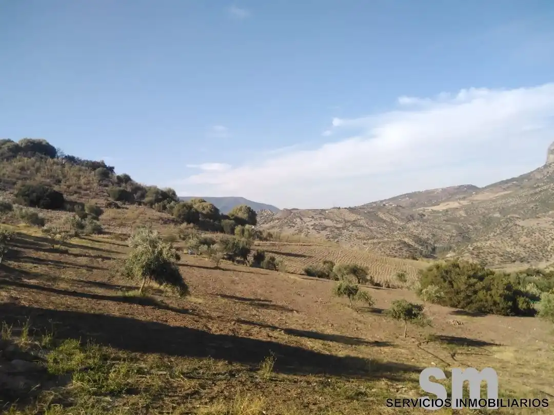 Terreno en venta en Zahara