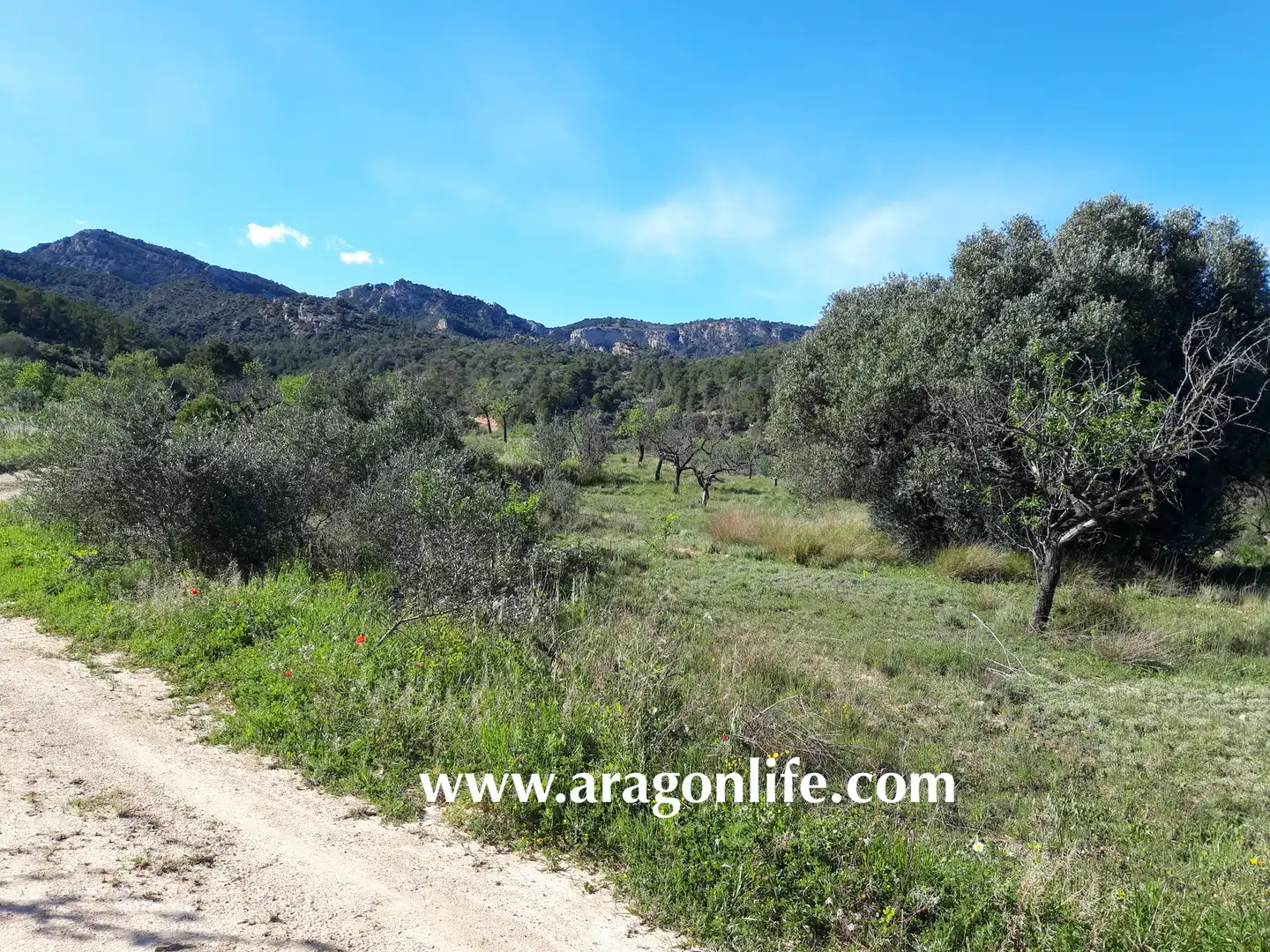 Country homes for sale in El Pinell de Brai