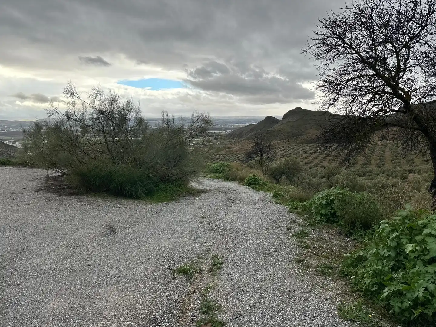 Terreni e lotti in vendita a Atarfe, imagen 18