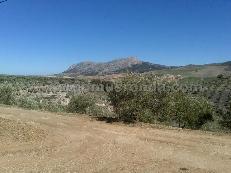 Finca rústica en venta en Cuevas del Becerro con Amueblado