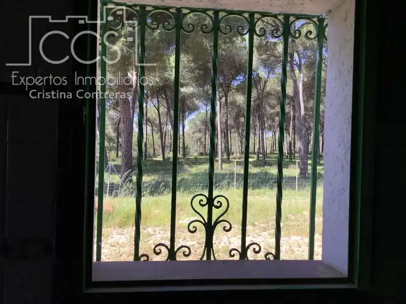 Jardí de Finca rústica en venda en Almonte amb Terrassa i Moblat
