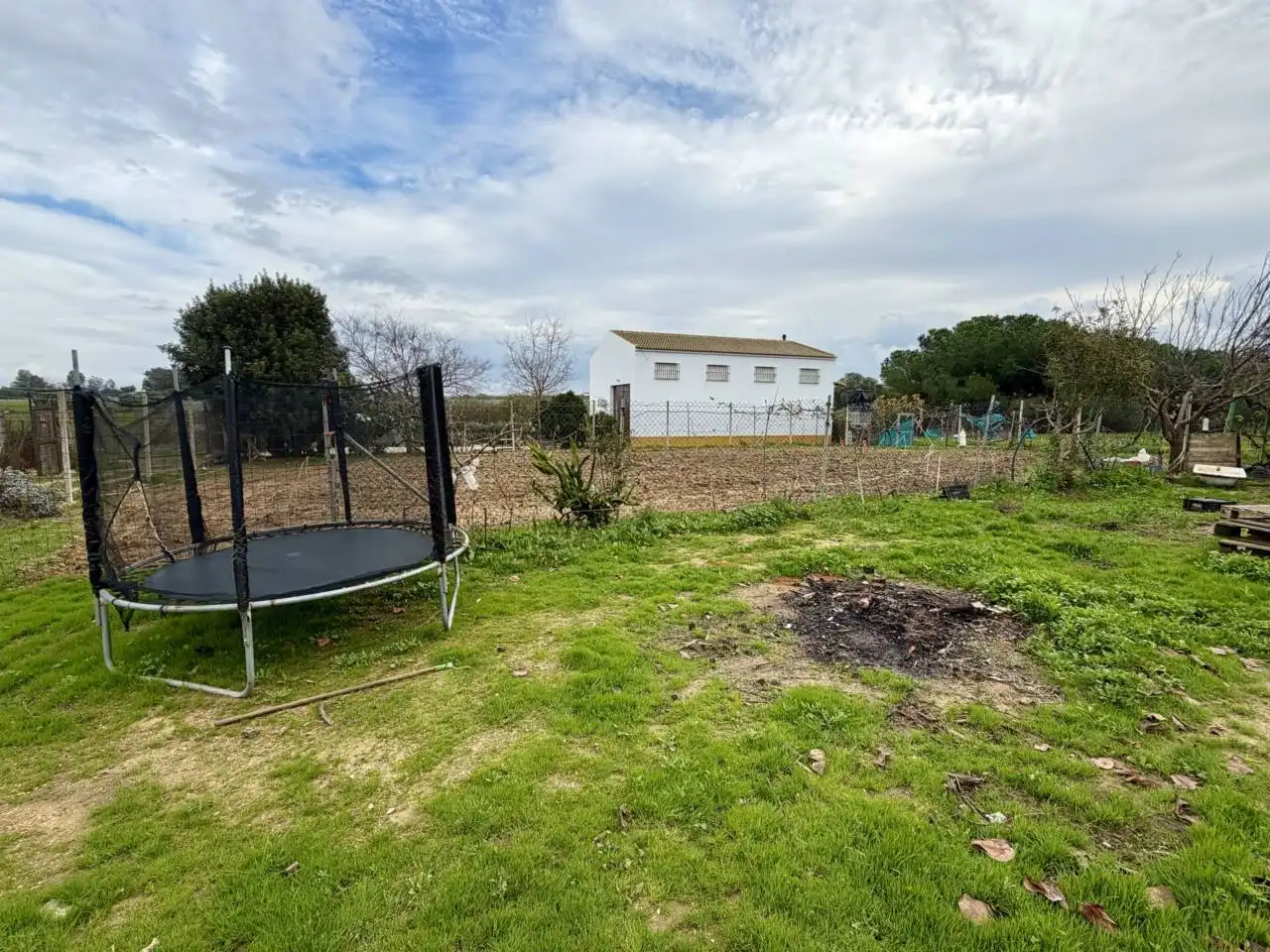 Land for sale in Moguer
