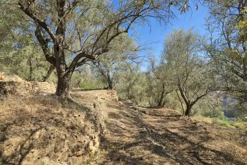 Terreno rustico in vendita a El Pinar, imagen 41