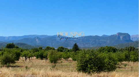 Foto 3 de Finca rústica de lloguer a Consell, Illes Balears