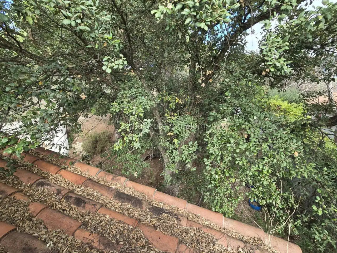 Casa o xalet en venda en Tordera amb Jardí privat i Terrassa