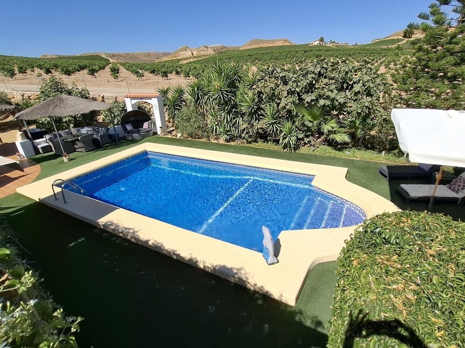 Piscina de Casa o xalet en venda en Antas amb Aire condicionat, Terrassa i Traster