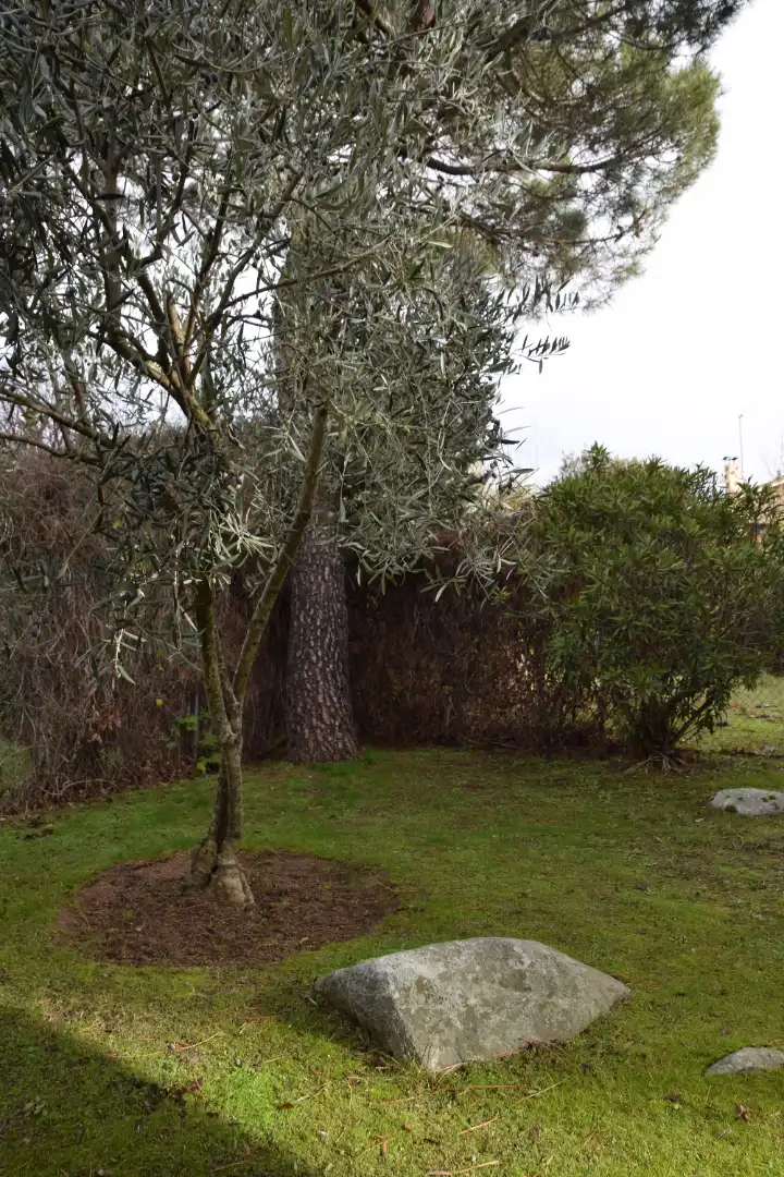 Jardín de Casa o chalet en venta en Moralzarzal con Calefacción, Jardín privado y Terraza