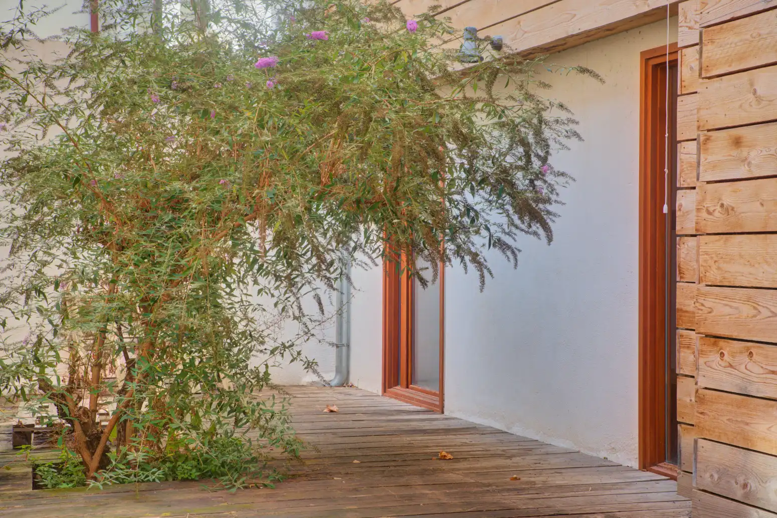 Jardín de Edificio en venta en Cendea de Olza / Oltza Zendea