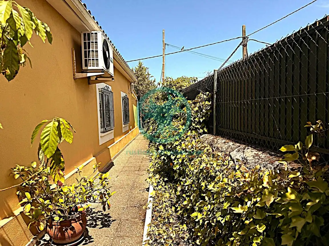 Vista exterior de Casa o chalet en venta en Casar de Cáceres con Aire acondicionado, Calefacción y Jardín privado